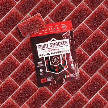 Fruit Smacker - Raspberry